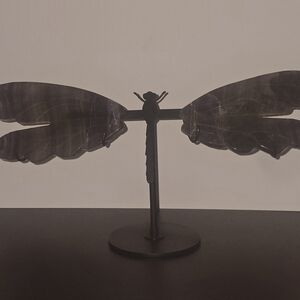 Black Metal Dragonfly Sculpture
